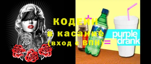 крисы Мегион