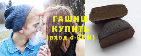 крисы Мегион