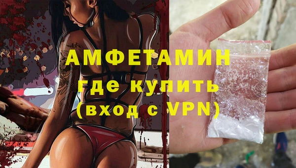 крисы Мегион