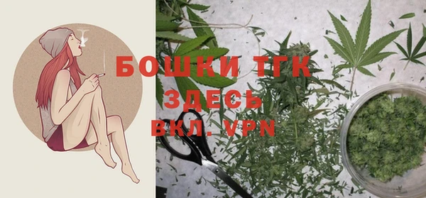 крисы Мегион