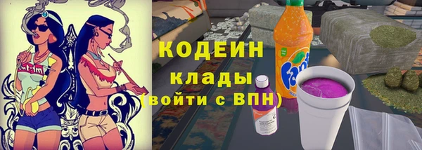 крисы Мегион