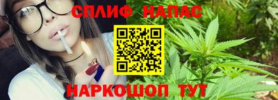 стаф Гудермес