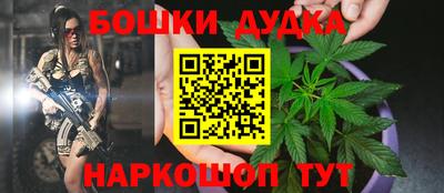 стаф Гудермес