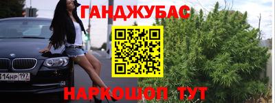стаф Гудермес