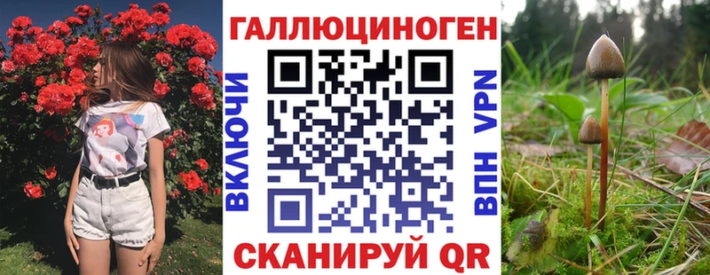 Псилоцибиновые грибы ЛСД где купить наркоту Петровск