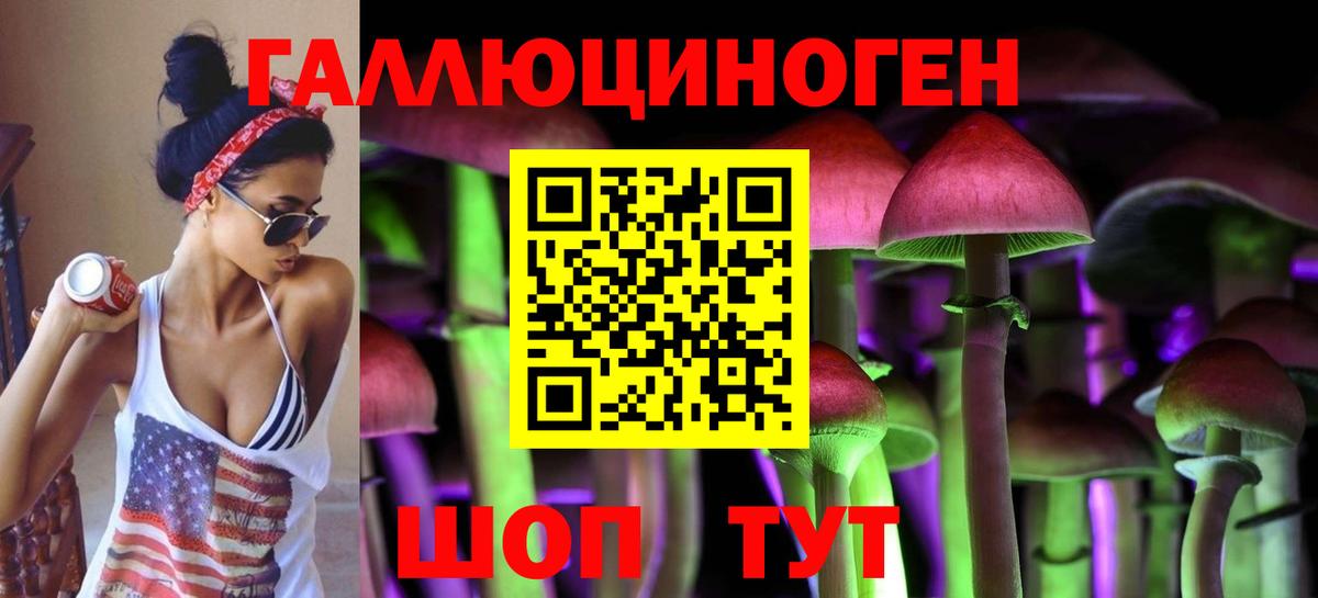Псилоцибиновые грибы Cubensis  Вход с VPN  Петровск 